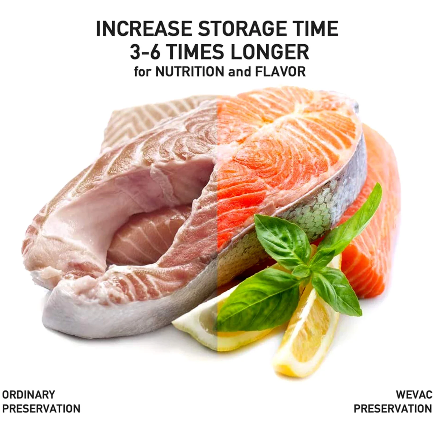 100-kwartowe worki próżniowe d – Meal Prep Or Prep Meal recenzja i cena
